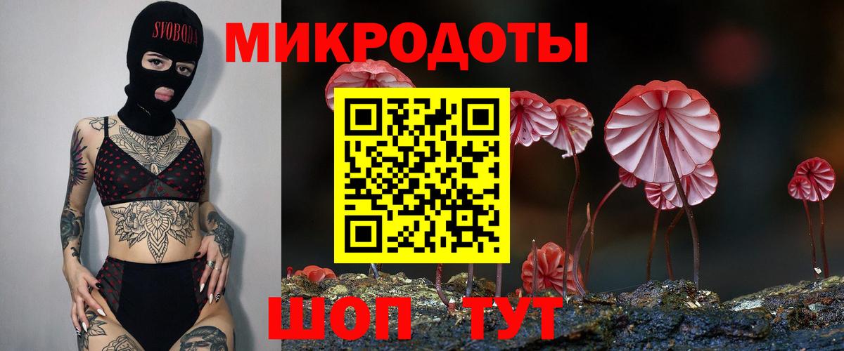 Коряжма  Псилоцибиновые грибы ЛСД  Псилоцибиновые грибы мицелий  Вход с VPN 