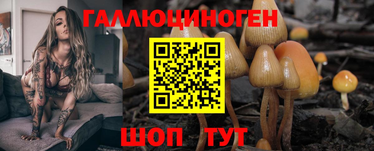 Галлюциногенные грибы прущие грибы Коряжма